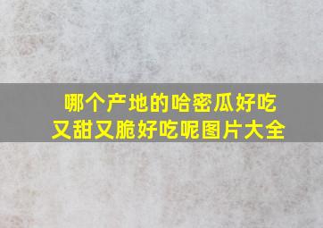 哪个产地的哈密瓜好吃又甜又脆好吃呢图片大全