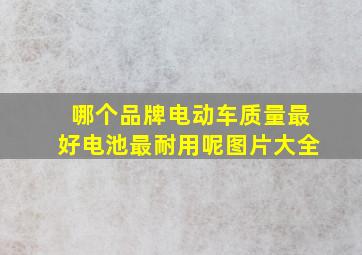 哪个品牌电动车质量最好电池最耐用呢图片大全