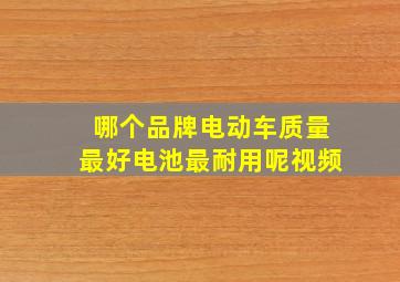 哪个品牌电动车质量最好电池最耐用呢视频