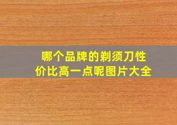 哪个品牌的剃须刀性价比高一点呢图片大全