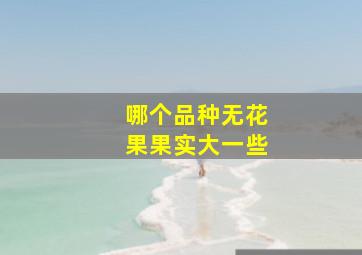 哪个品种无花果果实大一些