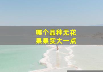 哪个品种无花果果实大一点