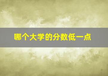 哪个大学的分数低一点