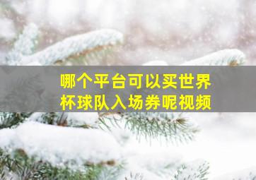 哪个平台可以买世界杯球队入场券呢视频