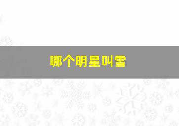 哪个明星叫雪