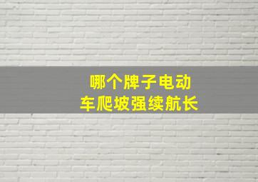 哪个牌子电动车爬坡强续航长