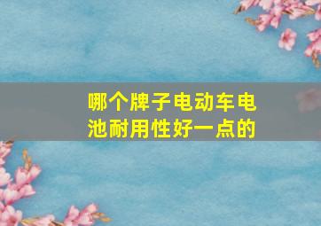 哪个牌子电动车电池耐用性好一点的