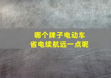 哪个牌子电动车省电续航远一点呢