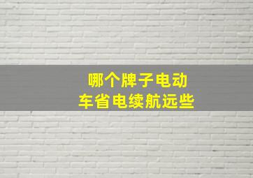 哪个牌子电动车省电续航远些