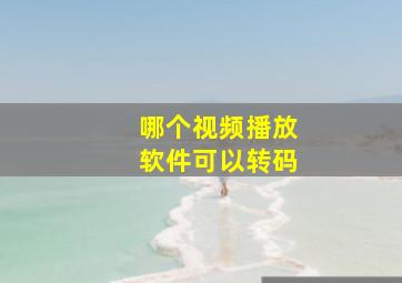 哪个视频播放软件可以转码