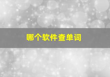 哪个软件查单词