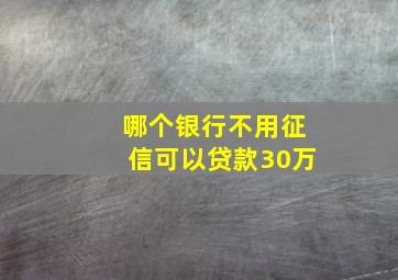 哪个银行不用征信可以贷款30万