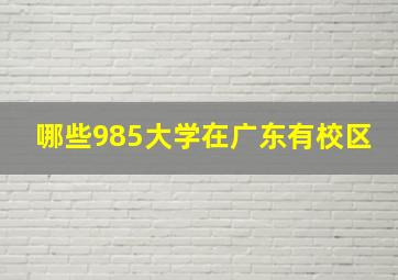 哪些985大学在广东有校区