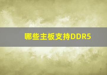 哪些主板支持DDR5