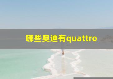 哪些奥迪有quattro