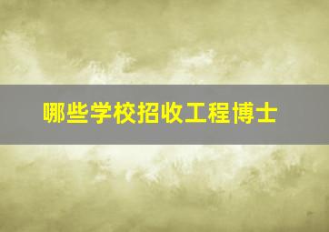 哪些学校招收工程博士