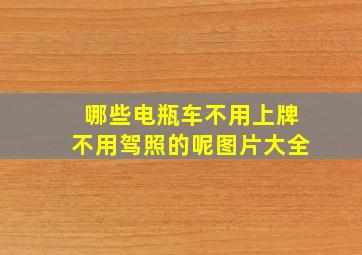 哪些电瓶车不用上牌不用驾照的呢图片大全