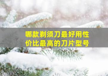 哪款剃须刀最好用性价比最高的刀片型号