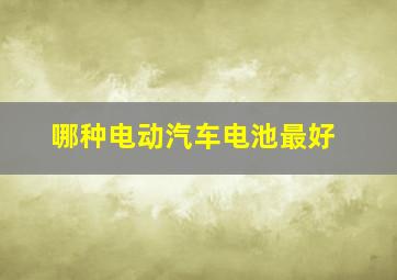 哪种电动汽车电池最好