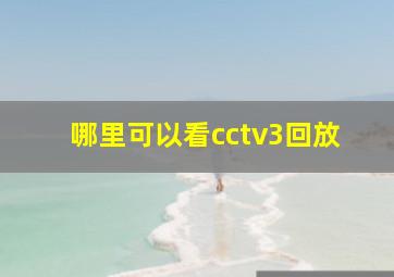 哪里可以看cctv3回放