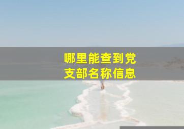 哪里能查到党支部名称信息