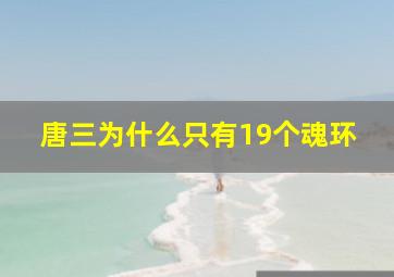 唐三为什么只有19个魂环