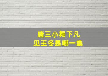 唐三小舞下凡见王冬是哪一集