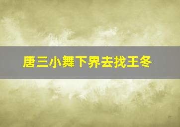 唐三小舞下界去找王冬