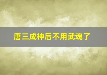 唐三成神后不用武魂了