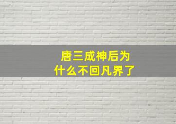 唐三成神后为什么不回凡界了