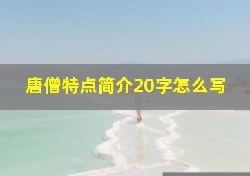 唐僧特点简介20字怎么写