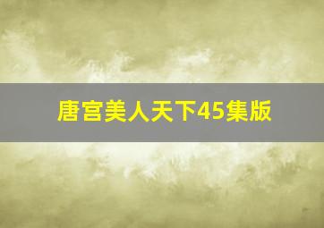 唐宫美人天下45集版