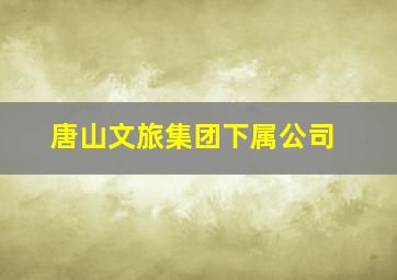 唐山文旅集团下属公司