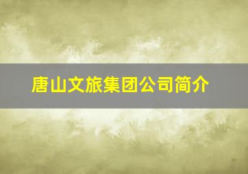 唐山文旅集团公司简介