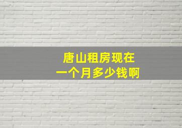 唐山租房现在一个月多少钱啊