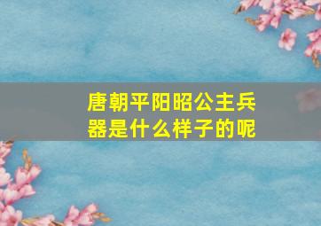 唐朝平阳昭公主兵器是什么样子的呢