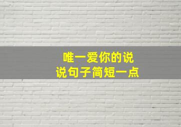 唯一爱你的说说句子简短一点