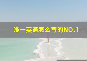 唯一英语怎么写的NO.1