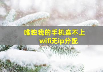 唯独我的手机连不上wifi无ip分配