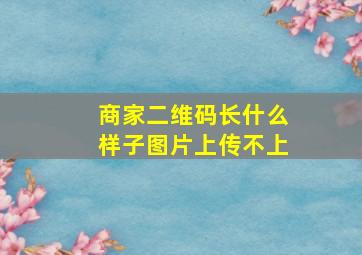 商家二维码长什么样子图片上传不上