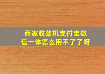 商家收款机支付宝微信一体怎么用不了了呀