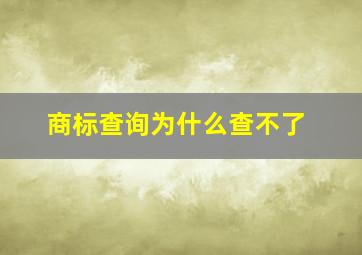 商标查询为什么查不了