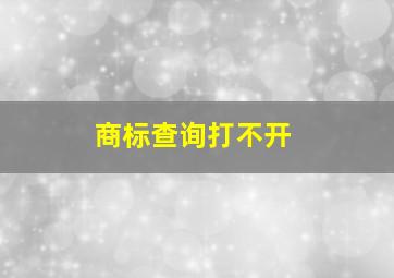 商标查询打不开