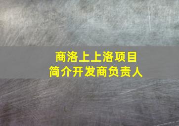 商洛上上洛项目简介开发商负责人