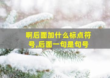 啊后面加什么标点符号,后面一句是句号