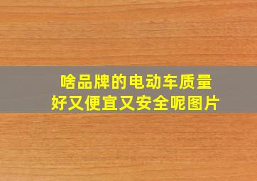 啥品牌的电动车质量好又便宜又安全呢图片