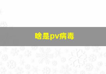 啥是pv病毒