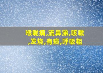 喉咙痛,流鼻涕,咳嗽,发烧,有痰,呼吸粗