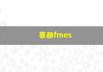 喜赫fmes