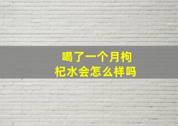 喝了一个月枸杞水会怎么样吗